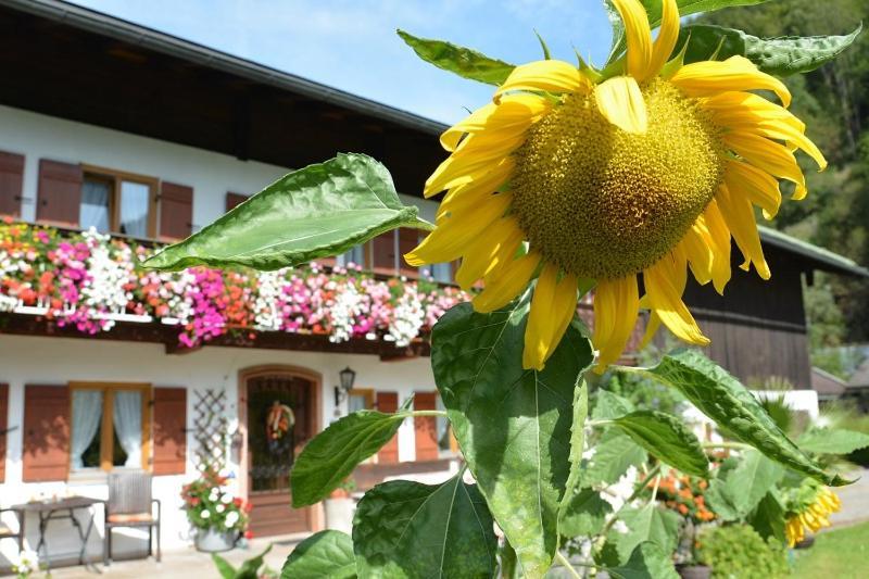 Haus Jagerer Hotell Ramsau bei Berchtesgaden Eksteriør bilde